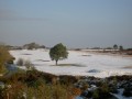 PICT0172.JPG